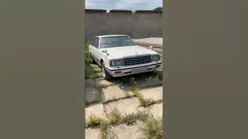 Nissan Laurel C31🤯 #nissanlaurel #nissan #jdm