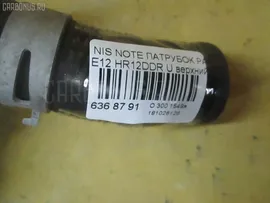 Патрубок радиатора ДВС на Nissan Note E12 HR12DDR