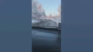 Альмера n16 кпп в шоке