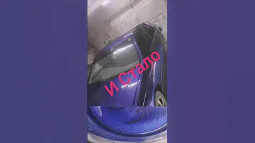 полный окрас. Ниссан Блюберд